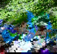 Family Fun Carnivale - Yamba Accommodation