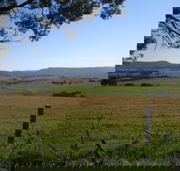 Milton Village Showground Markets - Yamba Accommodation