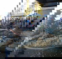 Narrabri Show - Yamba Accommodation