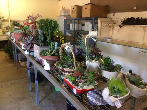 Narrabri Show - Yamba Accommodation 2