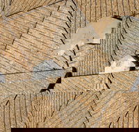 WA Now  Tom Mller Monolith Scores - Virtual Exhibition - Yamba Accommodation