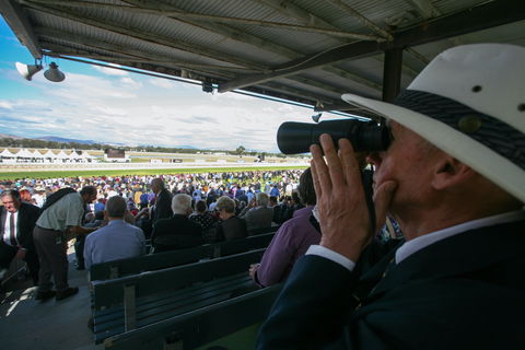 Albury Racing Club Boxing Day Races - Yamba Accommodation 1