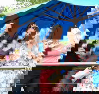 Bet 365 Caulfield Cup Day at Wodonga Race Course - Yamba Accommodation