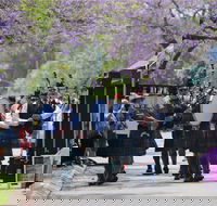 Celtic Festival of Queensland - Yamba Accommodation