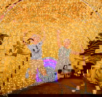 Christmas Lights Spectacular New Year's Eve at Hunter Valley Gardens - Yamba Accommodation