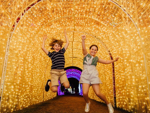 Christmas Lights Spectacular New Year's Eve At Hunter Valley Gardens - Yamba Accommodation 0