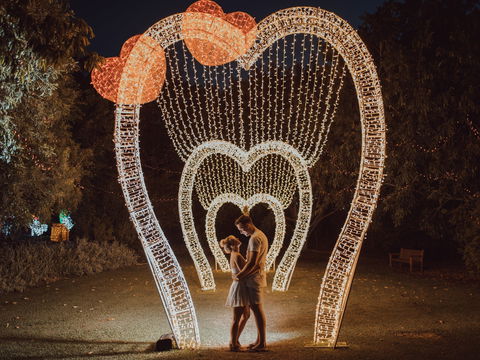 Christmas Lights Spectacular New Year's Eve At Hunter Valley Gardens - Yamba Accommodation 1