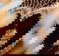 Christmas Lights Spectacular at Hunter Valley Gardens - Yamba Accommodation