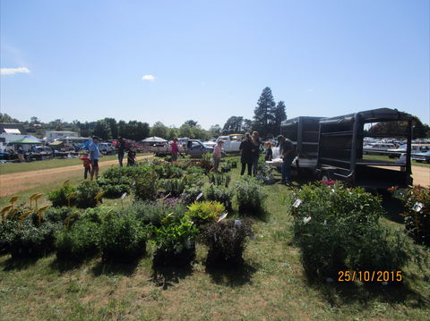Crookwell Rotary Swap Meet And Market Day - Yamba Accommodation 1