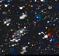 Eclectic by Murray Conservatorium - Yamba Accommodation