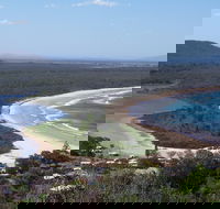 Head to Head Walk Run - Yamba Accommodation