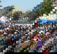 Hunter Valley Caravan Camping 4WD Fish and Boat Show - Yamba Accommodation