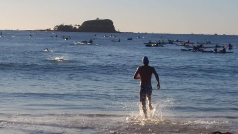 Island Charity Swim - Yamba Accommodation 1