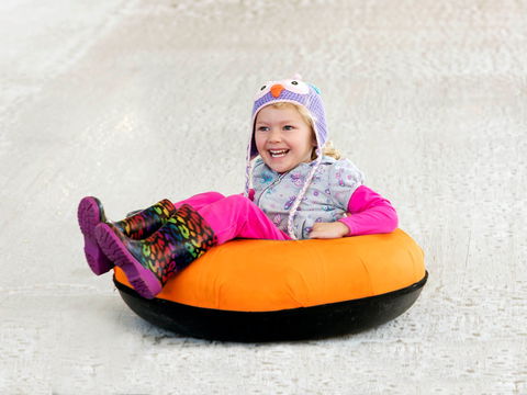 Snow Time In The Garden - Hunter Valley Gardens - Cancelled - Yamba Accommodation 1