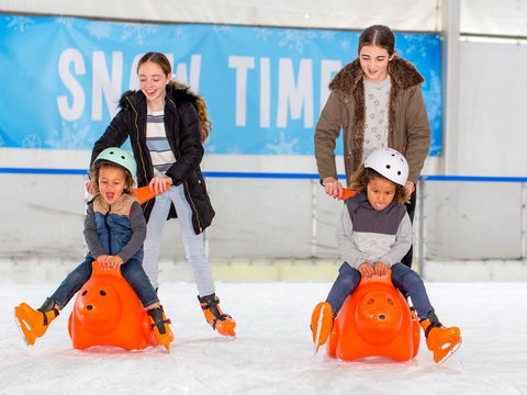 Snow Time In The Garden - Hunter Valley Gardens - Cancelled - Yamba Accommodation 2