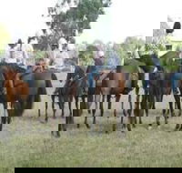 Stroud Show - Yamba Accommodation