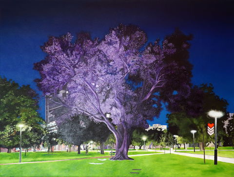 Adelaide Parklands Art Prize  Finalists Exhibition & Sale 2020 - Yamba Accommodation 0