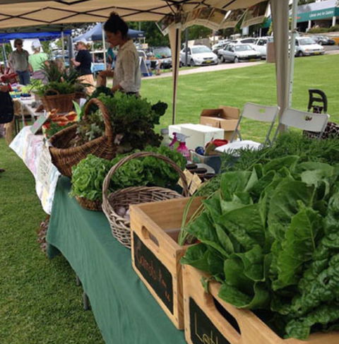 Bermagui Growers Market - Yamba Accommodation 5