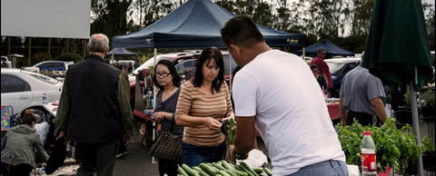 Blacktown Markets - Yamba Accommodation 0