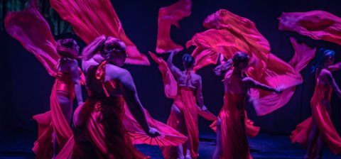 Darwin Fringe Festival - Yamba Accommodation 1