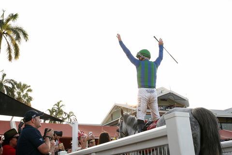 Great Northern Darwin Cup Carnival - Yamba Accommodation 1