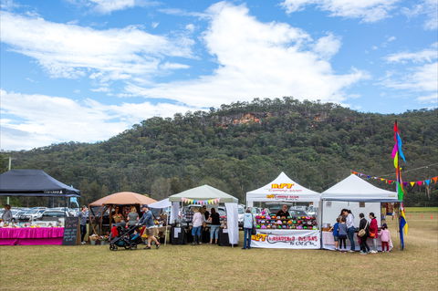 Horses Birthday Festival - Yamba Accommodation 2
