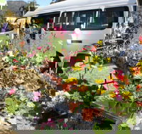 Johns River Country Markets - Yamba Accommodation