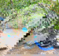 Jungle Love Festival - Yamba Accommodation