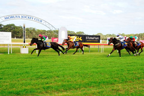 Moruya Cup - Yamba Accommodation 2