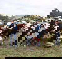 Noorat Show - Yamba Accommodation