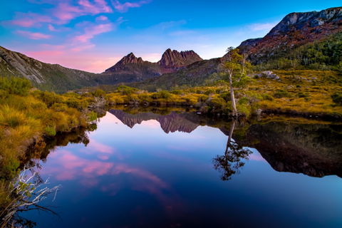 Pfeiffer Wines Photographic Exhibition - Wodonga Albury Camera Club - Yamba Accommodation 0