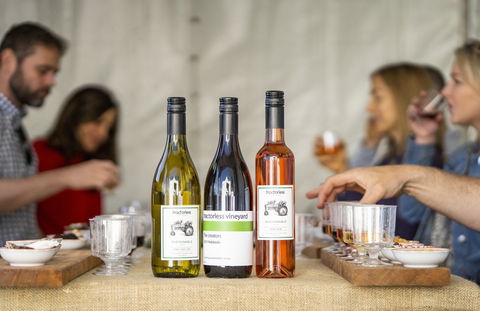 Southern Highlands Food And Wine Festival - Yamba Accommodation 2