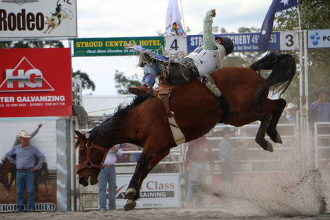 Stroud Rodeo And Campdraft - Yamba Accommodation 0