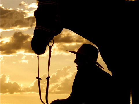 Talmoi Picnic Races - Yamba Accommodation 1