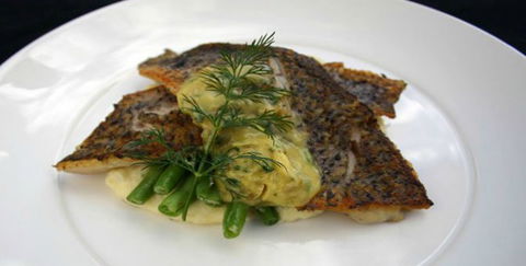 Aquarius Seafood Restaurant - Yamba Accommodation 2
