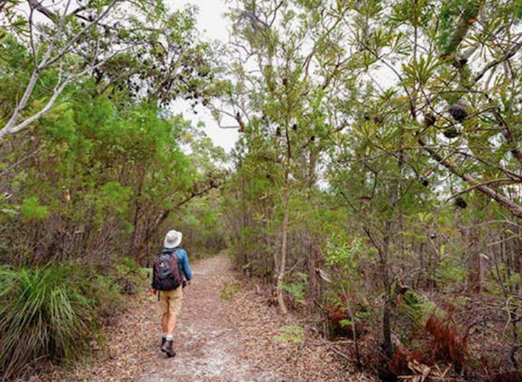 Scenic Coastal Walks and Natural Wonders