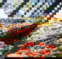 Sunnybank Star Hotel  Apartments - Yamba Accommodation