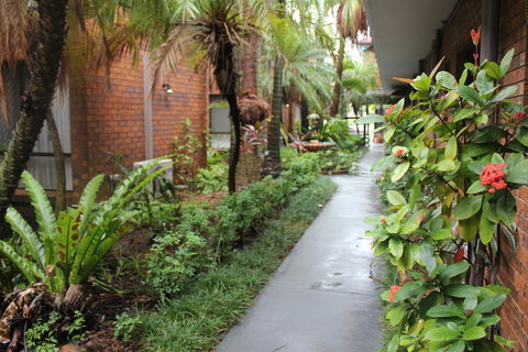 Best Western Ipswich - Yamba Accommodation 5