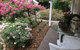 Clarendon Cottages - thumb 5