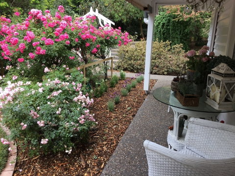 Clarendon Cottages - Yamba Accommodation 5
