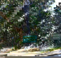 Byron Bay Rainforest Resort - Yamba Accommodation