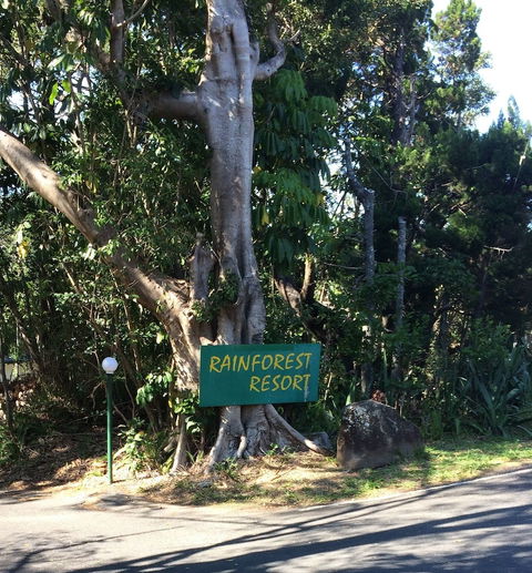 Byron Bay Rainforest Resort - Yamba Accommodation 0