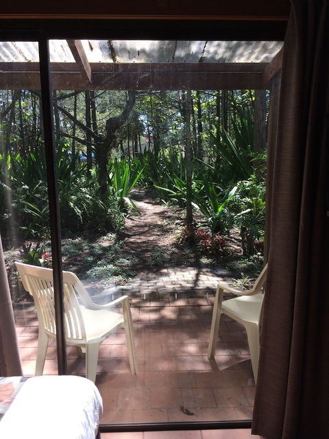 Byron Bay Rainforest Resort - Yamba Accommodation 5
