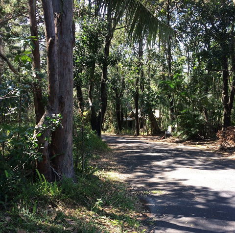 Byron Bay Rainforest Resort - Yamba Accommodation 3