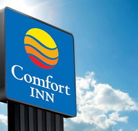 Comfort Hotel Sydney City - Yamba Accommodation