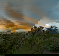 Ocean International - Yamba Accommodation