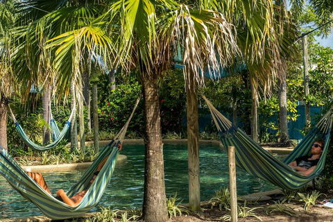 Summer House Backpackers Cairns - Yamba Accommodation 2