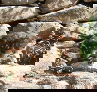 Jenolan Caves House - Yamba Accommodation