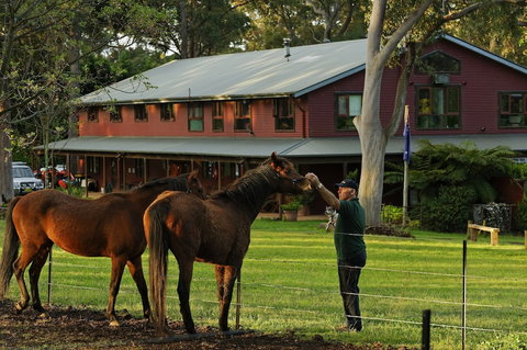 Bilpin Country Lodge - Yamba Accommodation 1