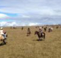 Susan River Homestead - Yamba Accommodation